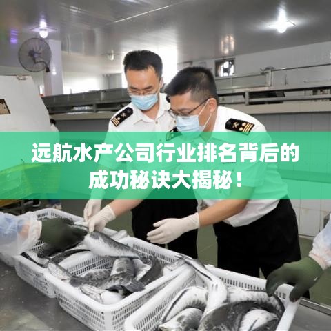 远航水产公司行业排名背后的成功秘诀大揭秘！