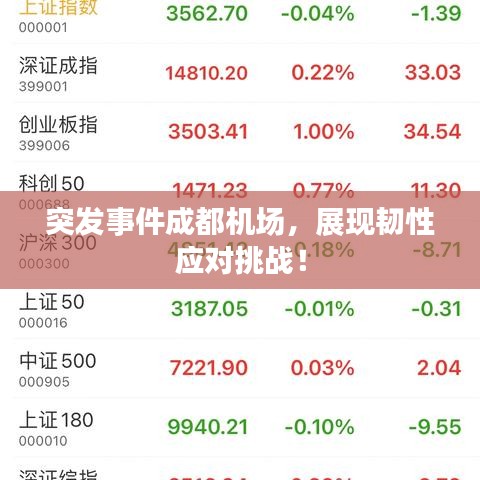 突发事件成都机场，展现韧性应对挑战！