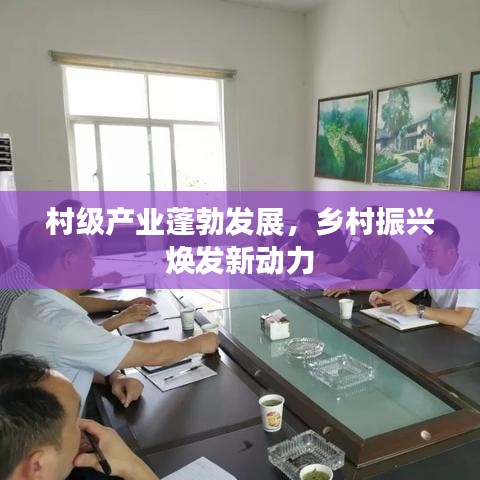 村级产业蓬勃发展，乡村振兴焕发新动力