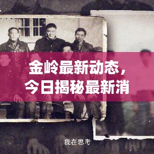 金岭最新动态，今日揭秘最新消息！