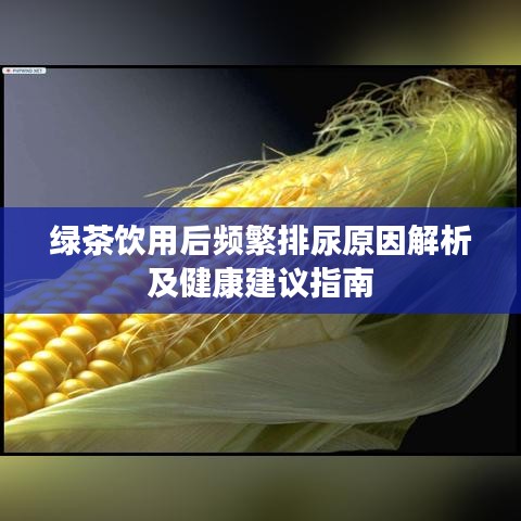 绿茶饮用后频繁排尿原因解析及健康建议指南
