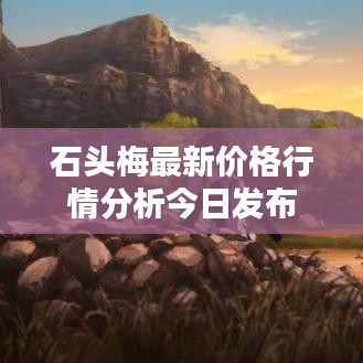 石头梅最新价格行情分析今日发布