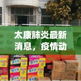太康肺炎最新消息，疫情动态及防控进展速递