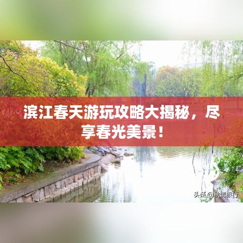 滨江春天游玩攻略大揭秘，尽享春光美景！