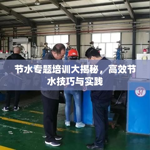 节水专题培训大揭秘，高效节水技巧与实践