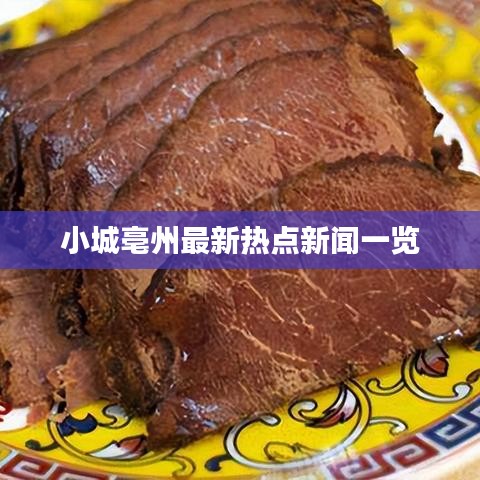 德才兼备 第7页