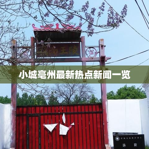 小城亳州最新热点新闻一览