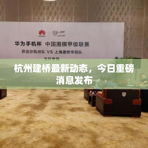 杭州建桥最新动态，今日重磅消息发布