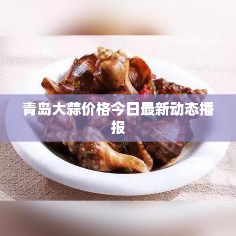 青岛大蒜价格今日最新动态播报
