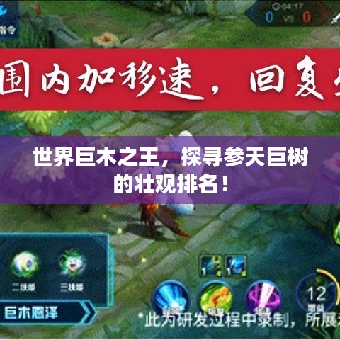 世界巨木之王，探寻参天巨树的壮观排名！