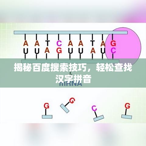揭秘百度搜索技巧，轻松查找汉字拼音