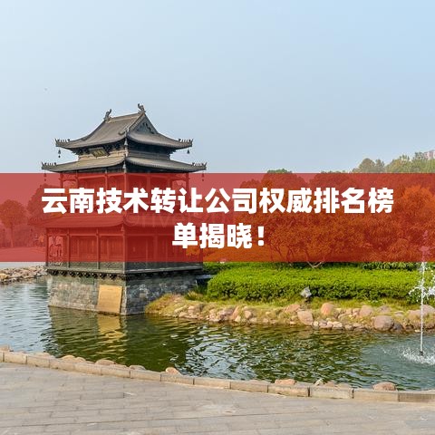 云南技术转让公司权威排名榜单揭晓！
