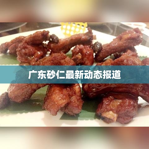 广东砂仁最新动态报道