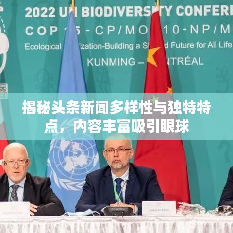 jvm下载官方下载与穿越火线单机版下载,安全策略评估方案-黄金版1_v10.691