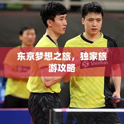 东京梦想之旅，独家旅游攻略