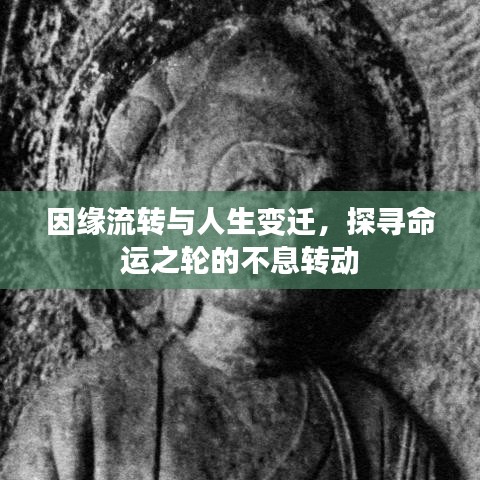 因缘流转与人生变迁，探寻命运之轮的不息转动