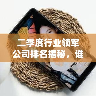 二季度行业领军公司排名揭秘，谁是行业佼佼者？
