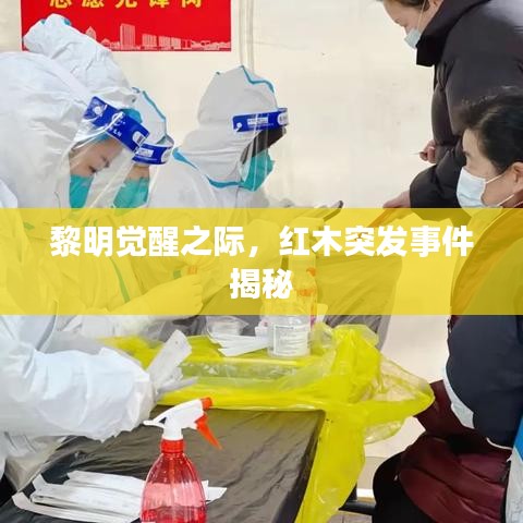 黎明觉醒之际，红木突发事件揭秘