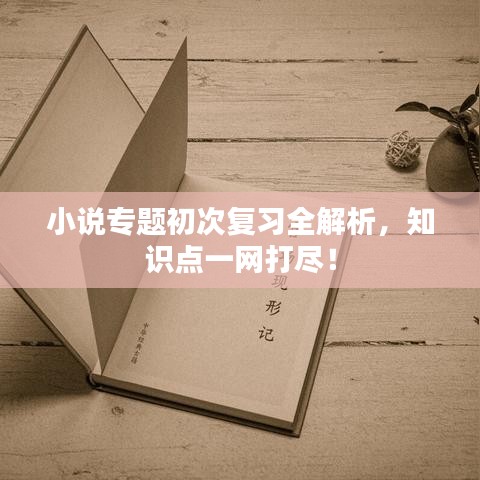 小说专题初次复习全解析，知识点一网打尽！
