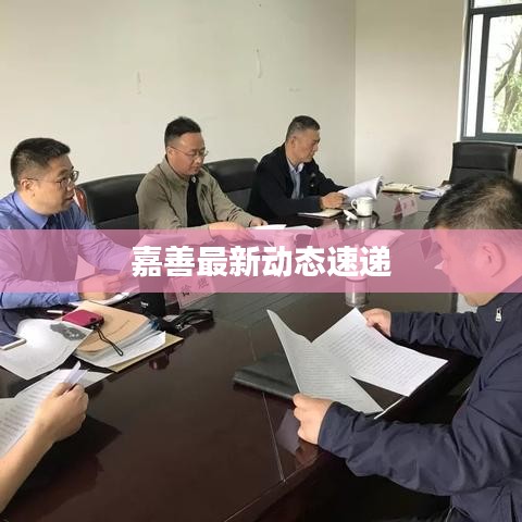 嘉善最新动态速递