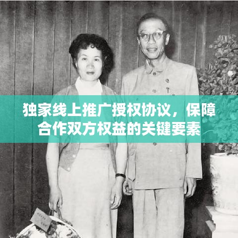 独家线上推广授权协议,保障合作双方权益的关键要素