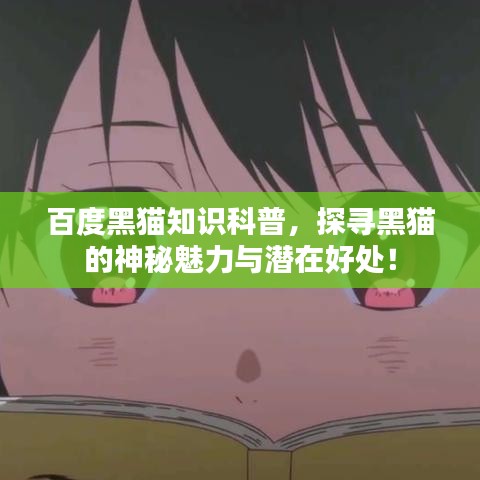 百度黑猫知识科普，探寻黑猫的神秘魅力与潜在好处！