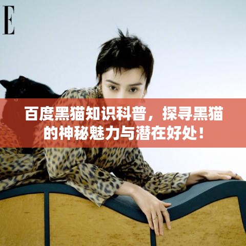 百度黑猫知识科普,探寻黑猫的神秘魅力与潜在好处!