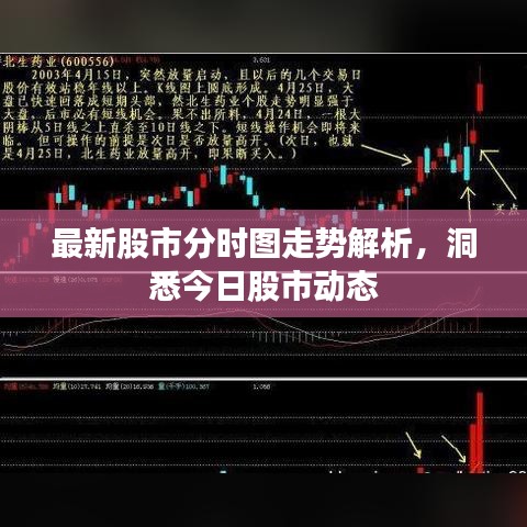 最新股市分时图走势解析，洞悉今日股市动态