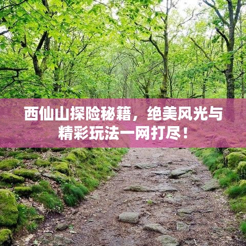 西仙山探险秘籍，绝美风光与精彩玩法一网打尽！