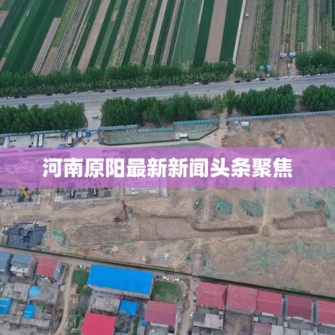 河南原阳最新新闻头条聚焦