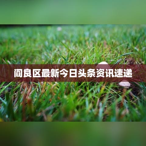 阎良区最新今日头条资讯速递