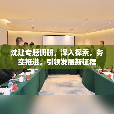 沈建专题调研，深入探索，务实推进，引领发展新征程