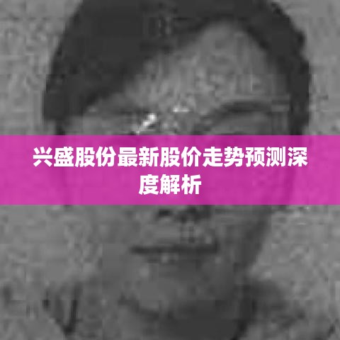 兴盛股份最新股价走势预测深度解析
