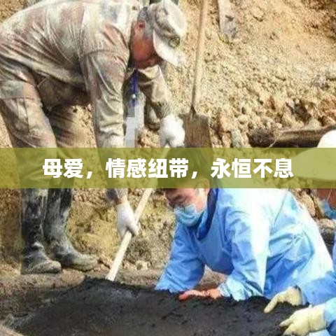 母爱,情感纽带,永恒不息