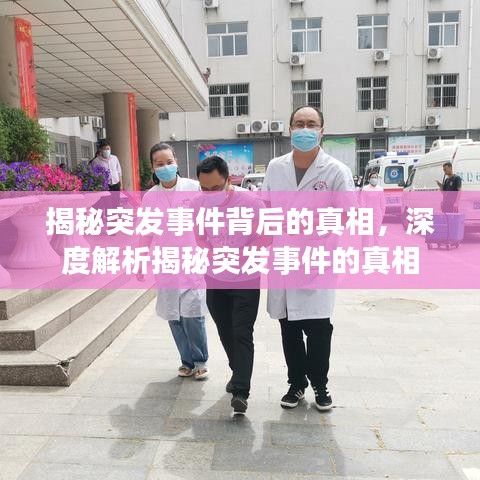 揭秘突发事件背后的真相，深度解析揭秘突发事件的真相