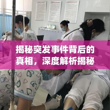 揭秘突发事件背后的真相,深度解析揭秘突发事件的真相