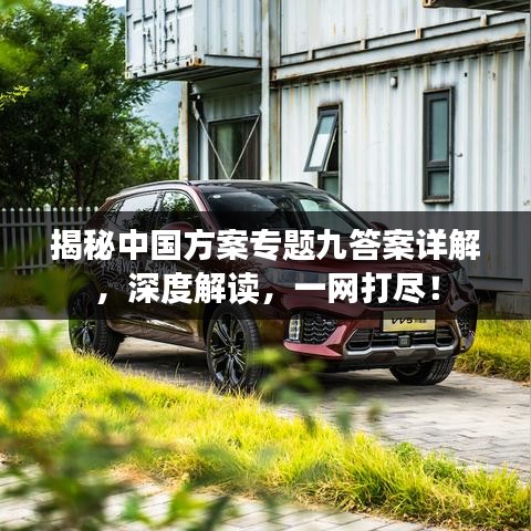 揭秘中国方案专题九答案详解，深度解读，一网打尽！