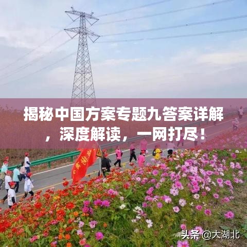 揭秘中国方案专题九答案详解,深度解读,一网打尽!