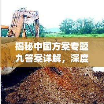 揭秘中国方案专题九答案详解,深度解读,一网打尽!
