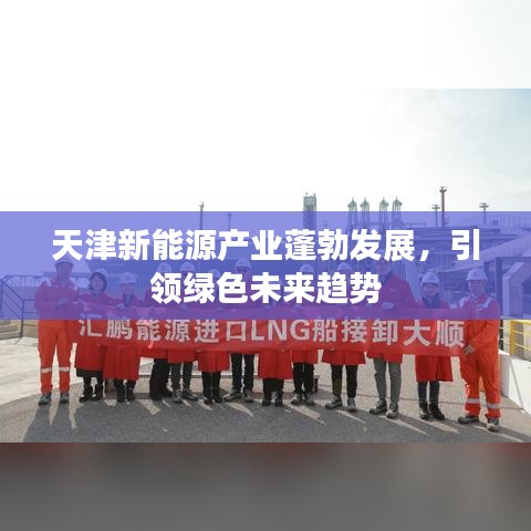 光荣使命免激活码补丁和惊艳单机版,高效实施策略设计-WP版_v6.444