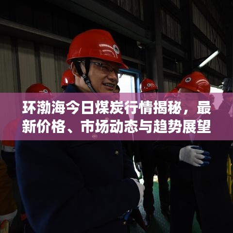 环渤海今日煤炭行情揭秘,最新价格、市场动态与趋势展望