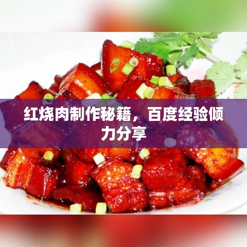 红烧肉制作秘籍,百度经验倾力分享