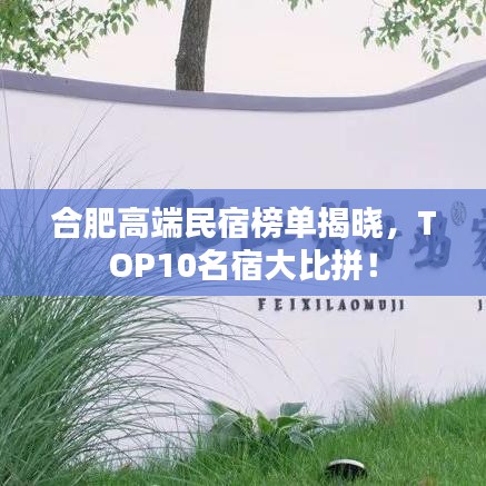 合肥高端民宿榜单揭晓,TOP10名宿大比拼!