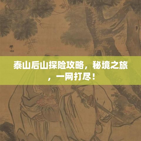泰山后山探险攻略，秘境之旅，一网打尽！