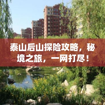 泰山后山探险攻略,秘境之旅,一网打尽!