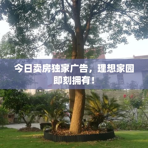 今日卖房独家广告,理想家园即刻拥有!