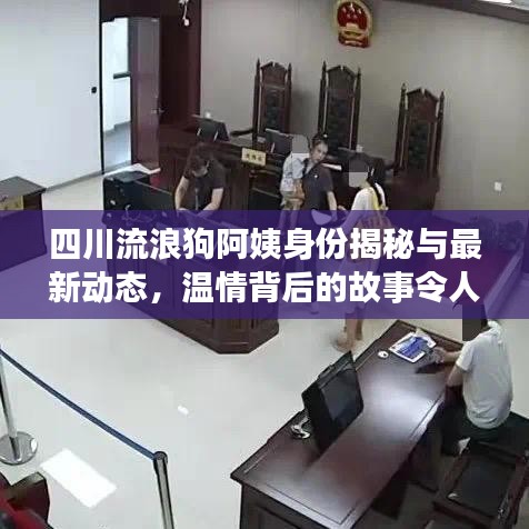 四川流浪狗阿姨身份揭秘与最新动态,温情背后的故事令人动容