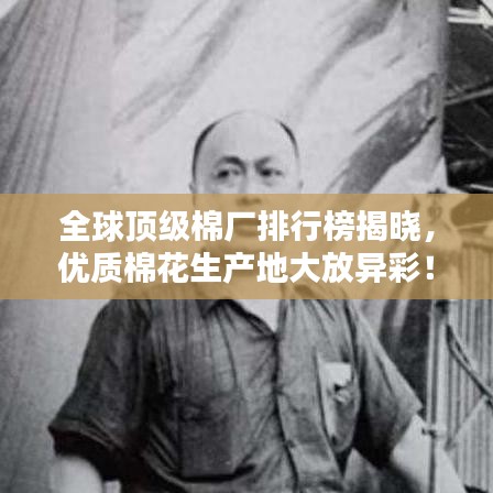 全球顶级棉厂排行榜揭晓，优质棉花生产地大放异彩！