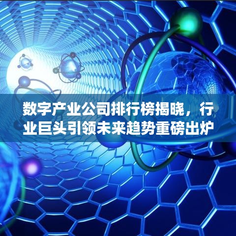 数字产业公司排行榜揭晓，行业巨头引领未来趋势重磅出炉！