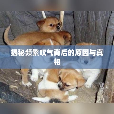 揭秘频繁叹气背后的原因与真相